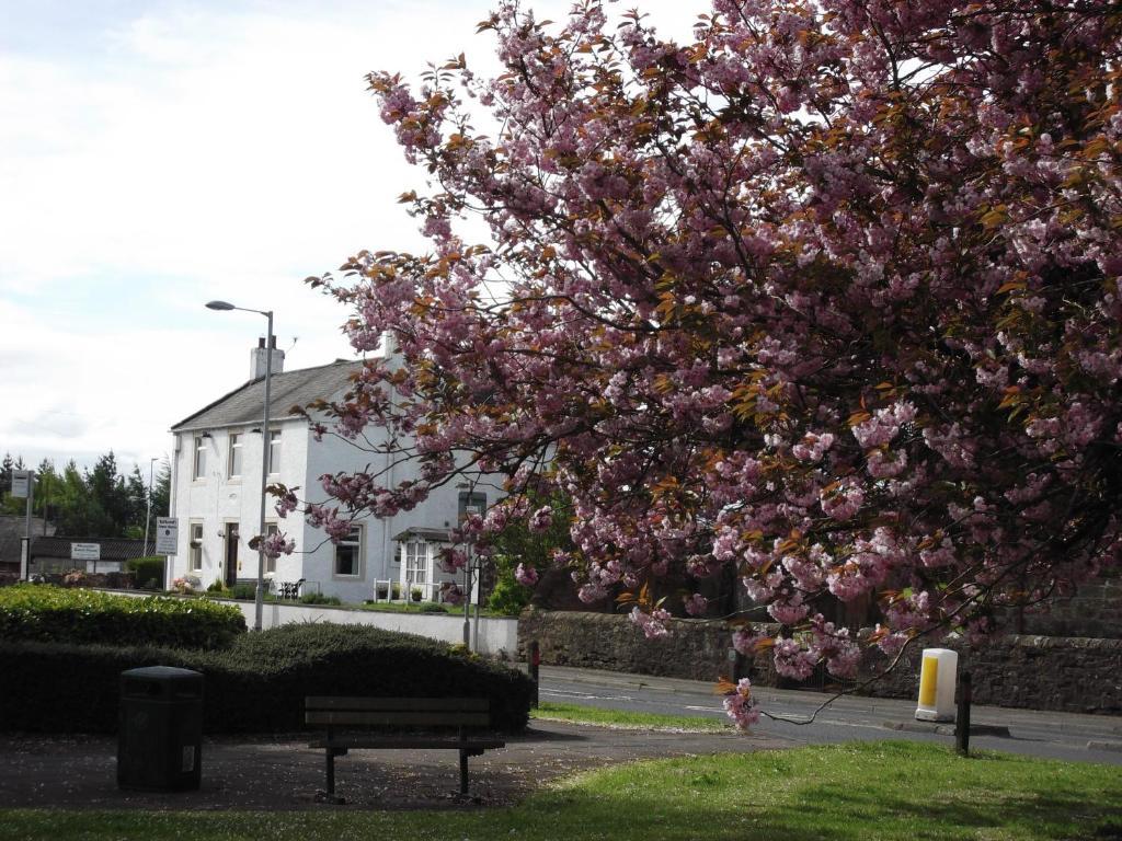 Kirkcroft Guest house